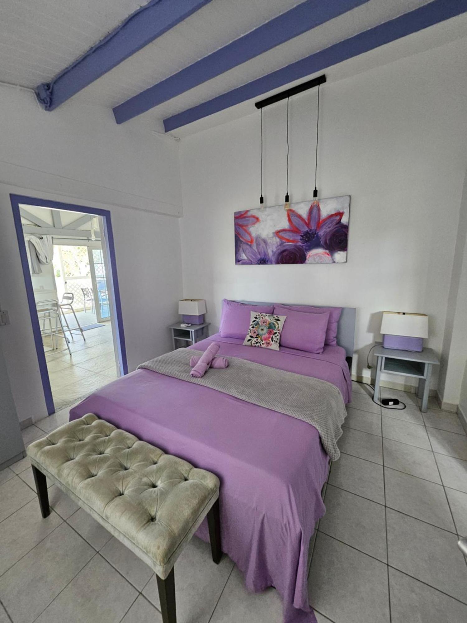 Villa Raven'S Paradise Вилемстад Екстериор снимка